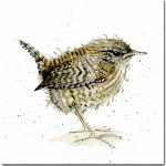 Jenny wren Greeting Card The Skinny Card Co