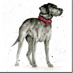 Labrador Greeting Card The Skinny Card Co